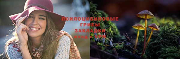 спайс Заволжье