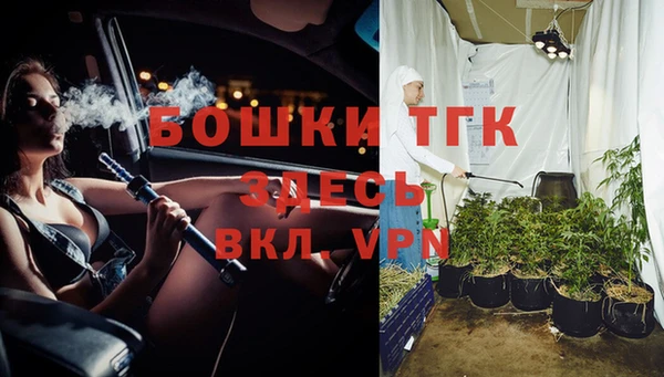 сатива Зеленодольск