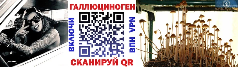 Галлюциногенные грибы Magic Shrooms  Светлый 